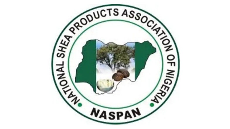 NASPAN Commends Tinubu Government’s Ban On Exportation Of Shea Nuts