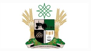 Zamfara Mine Collapse