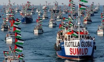 Why Israel Deports 137 GSF Volunteers To Turkey