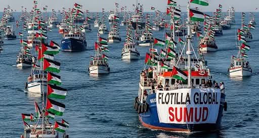 Why Israel Deports 137 GSF Volunteers To Turkey