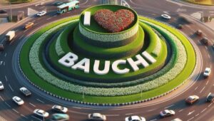 Bauchi Strengthen Commitment