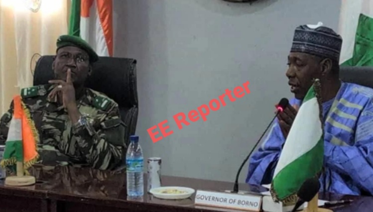 Borno Governor Zulum Meets Niger Republic Counterpart