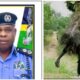 Akwa Ibom Police Threaten To Arrests Masquerades