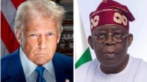 Afenifere Hails Tinubu Government