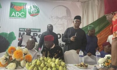 South-East Leaders Declare For ADC In Enugu