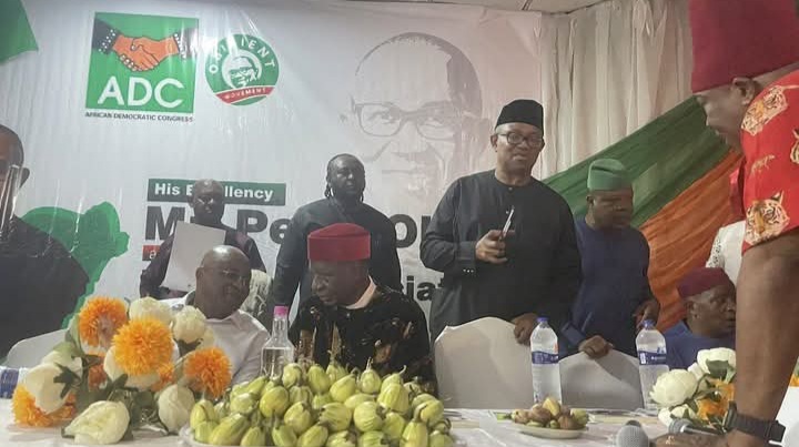 South-East Leaders Declare For ADC In Enugu