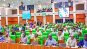 Reps Minority Asks FG To Tackle Insecurity