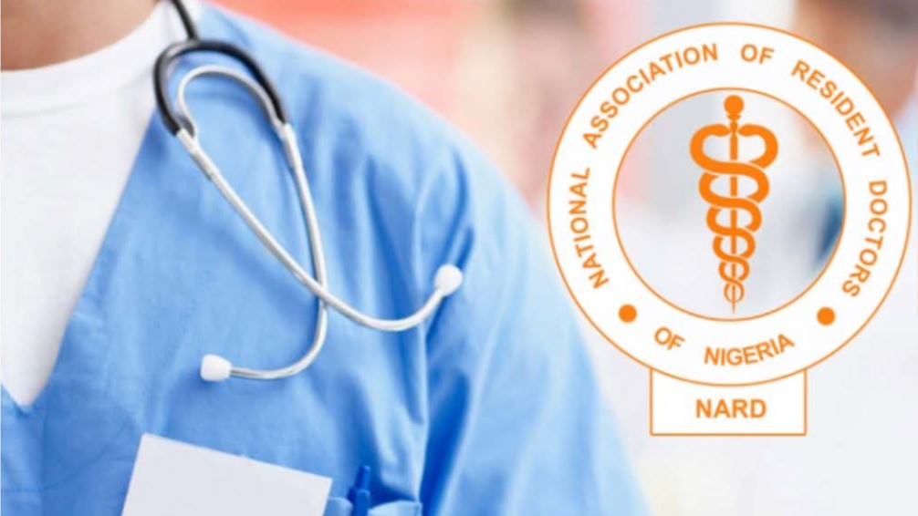 NIPSS Trains Resident Doctors On Effective Policy-Making