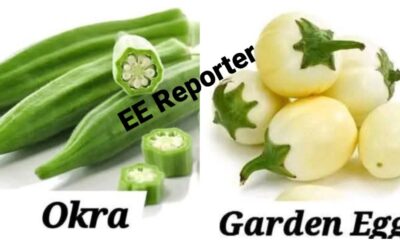 Blood Sugar: List of 9 Friendly Vegetables with good benefits