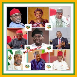 1ADC Salutes Courage In The Nigerian Senate