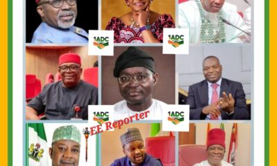 1ADC Salutes Courage In The Nigerian Senate