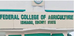 Federal College Of Agriculture