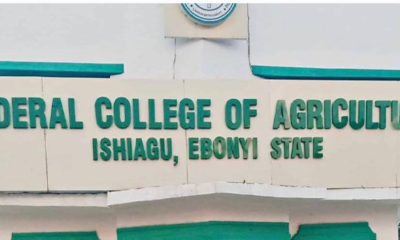 Federal College Of Agriculture