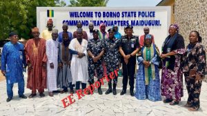 Borno Police