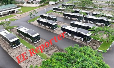 CNG Buses