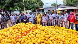Nigeria Customs