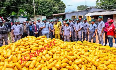 Nigeria Customs