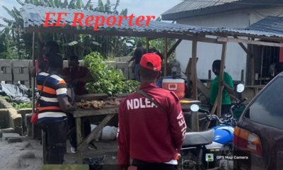 NDLEA