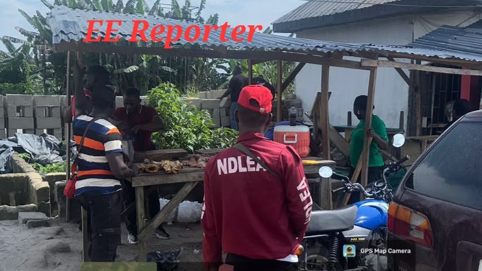 NDLEA